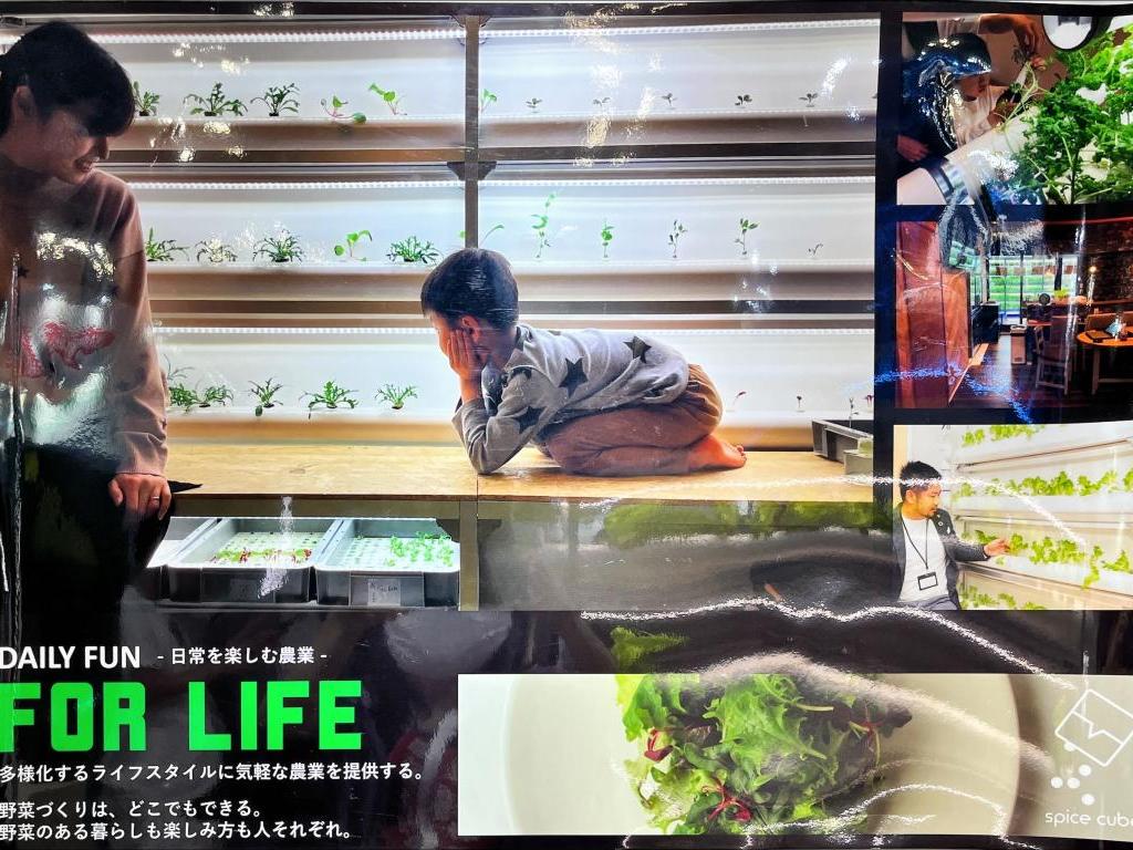 スパイスキューブのブース写真3