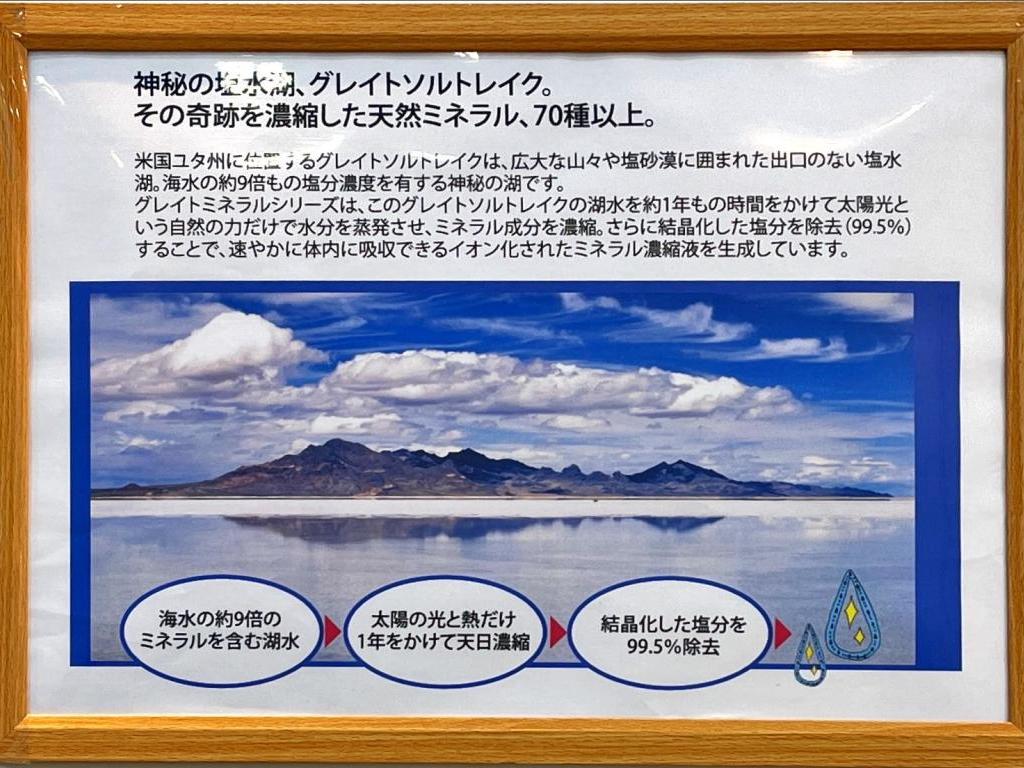 グリーンハート・インターナショナルのブース写真2