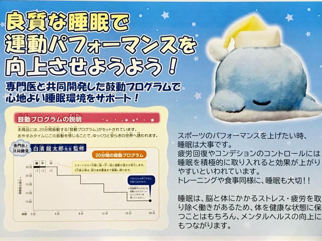 シャインのブース写真5