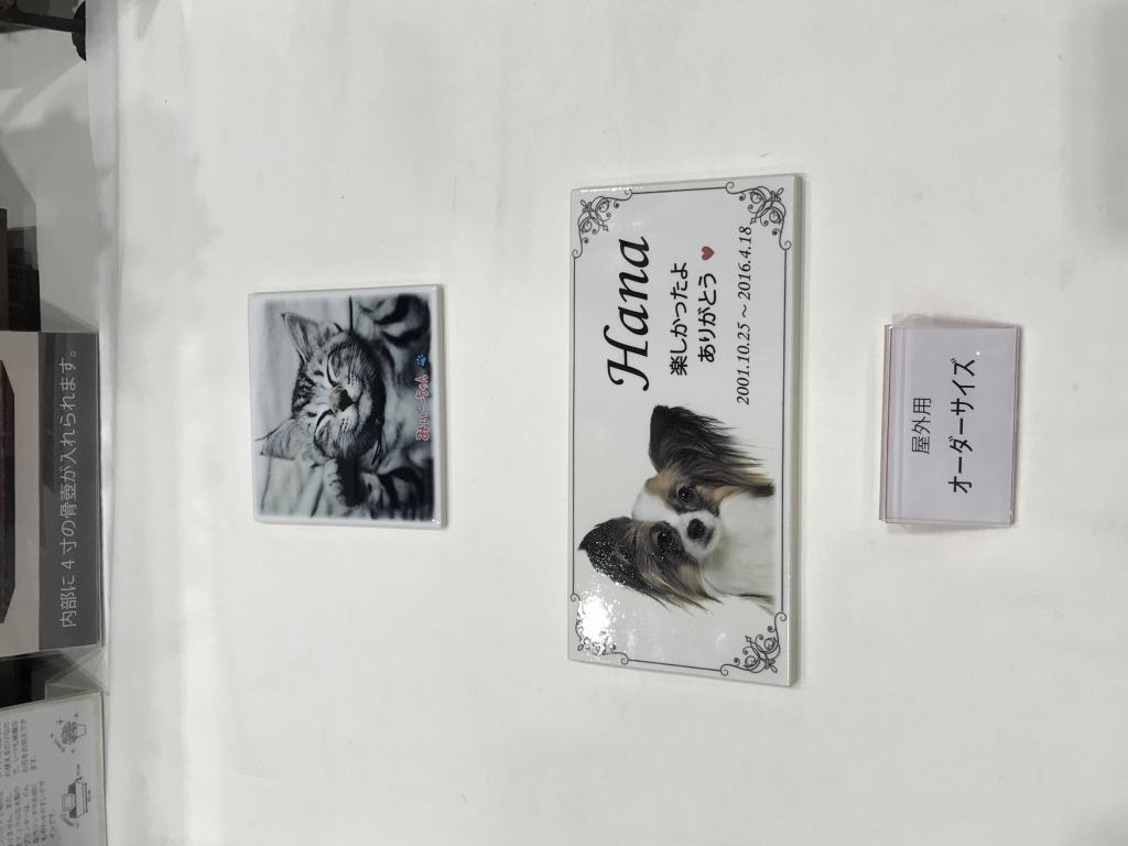 フラワー企画のブース写真3