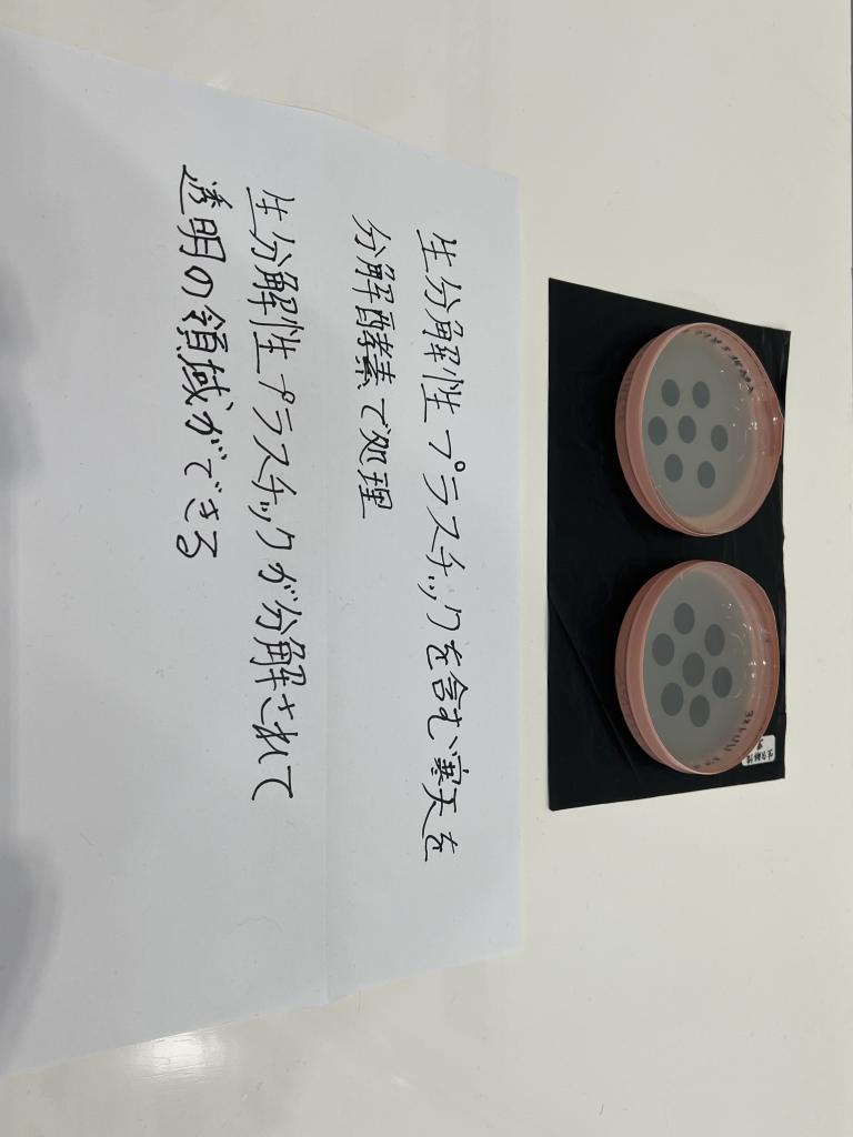 農研機構【酵素で生分解性プラの分解促進】のブース写真2
