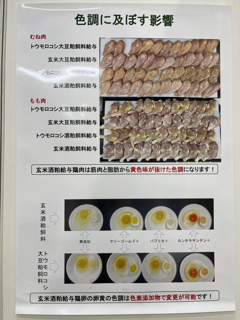神戸大学 栄養代謝学研究室のブース写真3