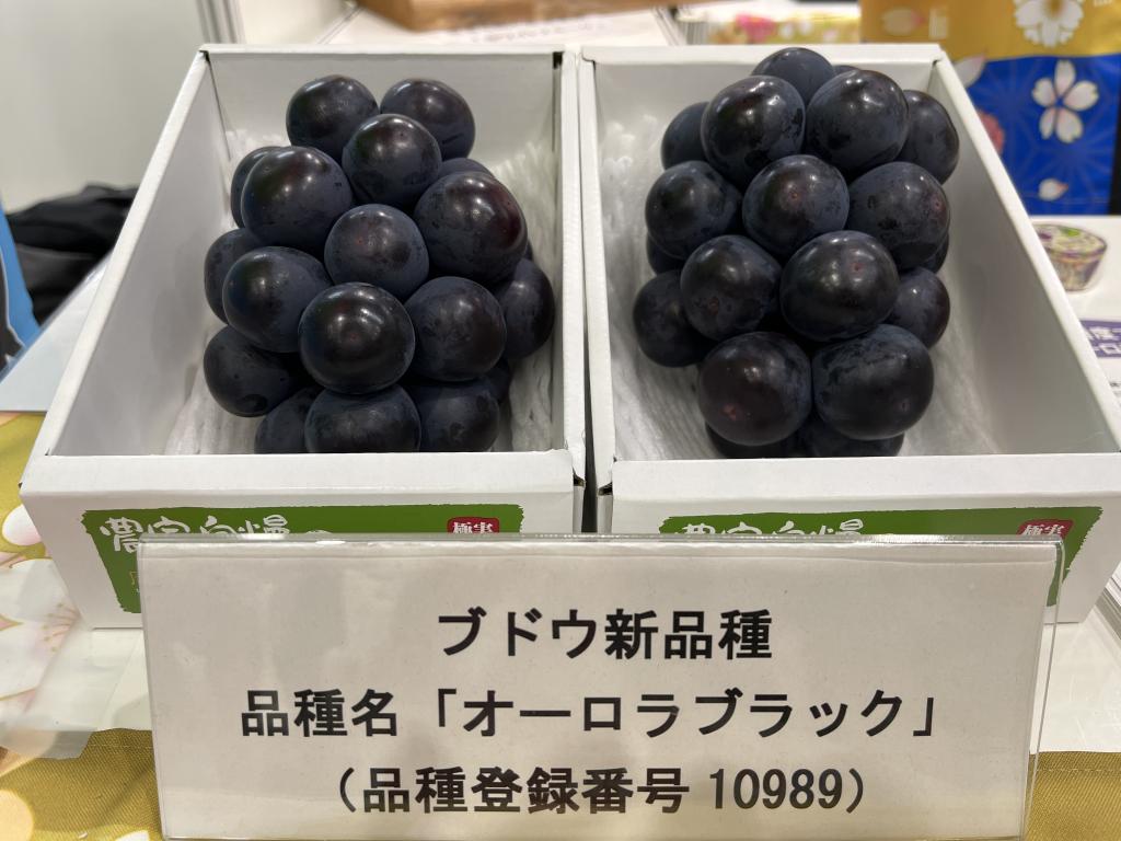 岡山県農林水産総合センターのブース写真4