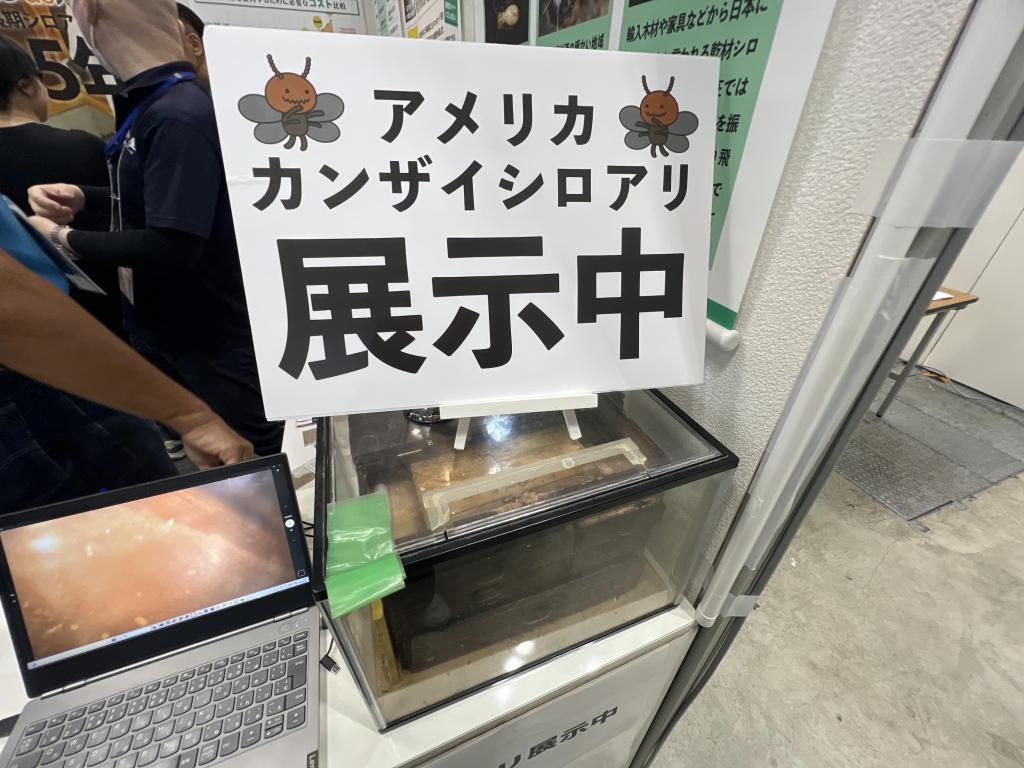 日本ボレイトのブース写真2